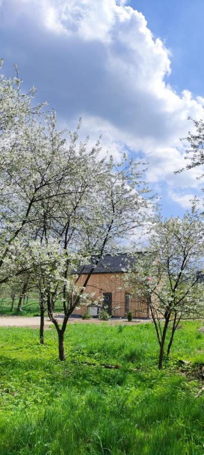 Gorskie Progi Goworow Exterior foto